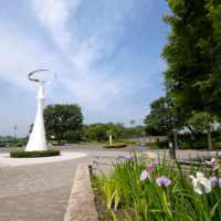 県央エリア